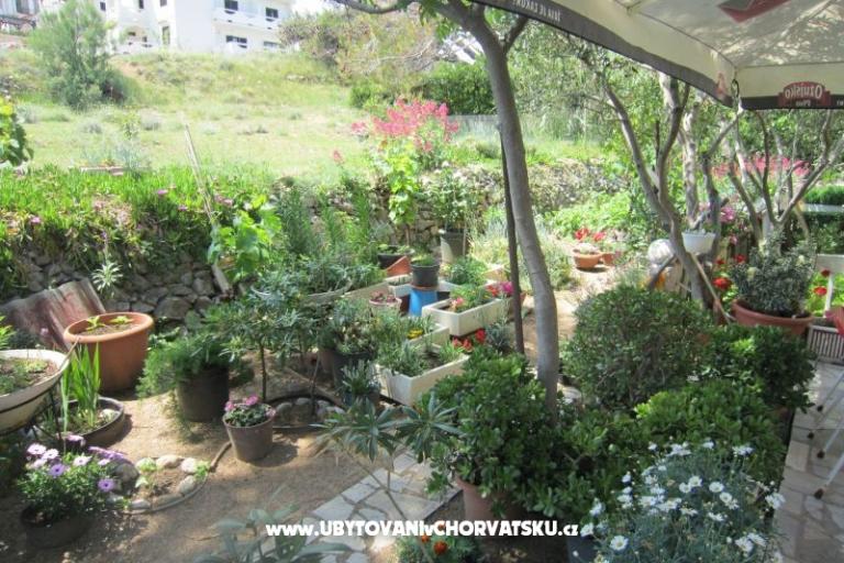 Apartmaji Mediteran Pag – foto 8