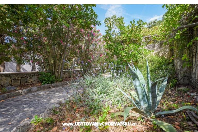 Apartmaji Oleandra – foto 6