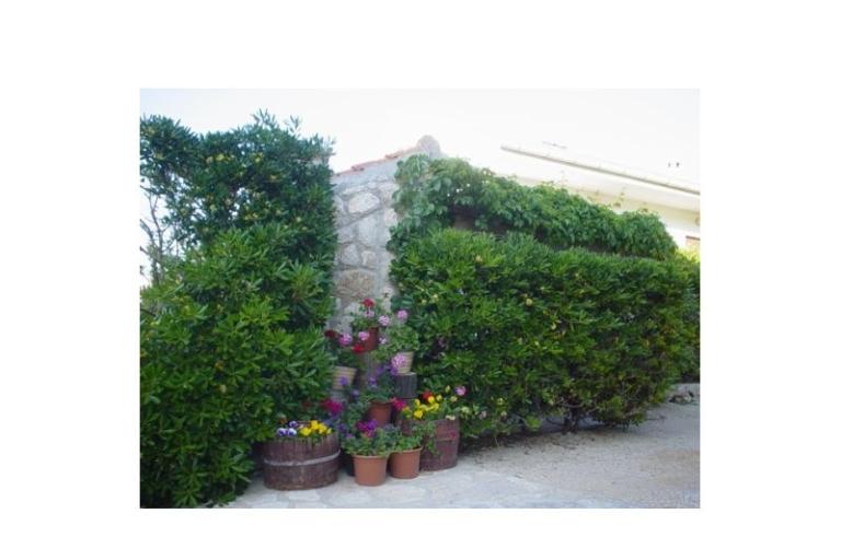 Apartmaji Pag – foto 10