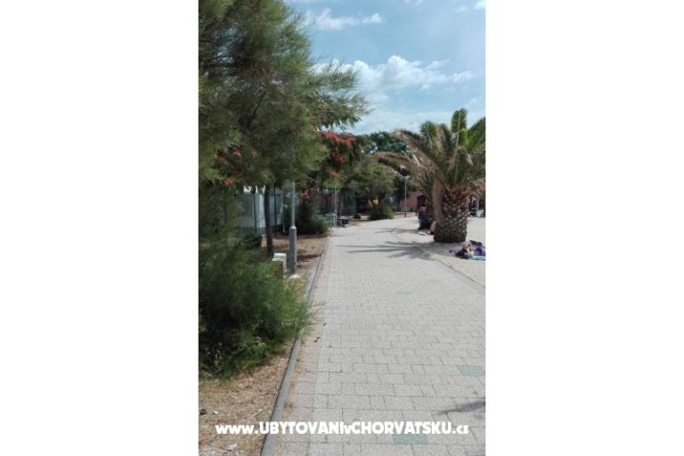Apartmaji Petra – foto 5
