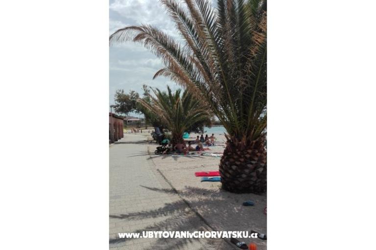 Apartmaji Petra – foto 6