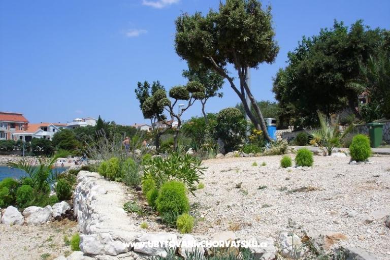 Apartmaji Salvia island Pag Mandre – foto 12