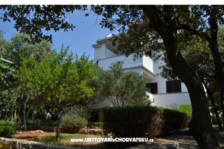 Apartmaji Salvia island Pag Mandre – foto 14