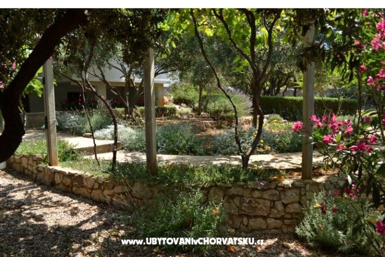 Apartmaji Salvia island Pag Mandre – foto 15