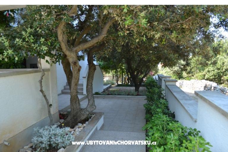 Apartmaji Salvia island Pag Mandre – foto 17