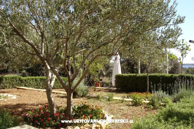 Apartmaji Salvia island Pag Mandre – foto 18