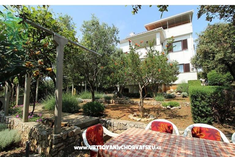 Apartmaji Salvia island Pag Mandre – foto 2