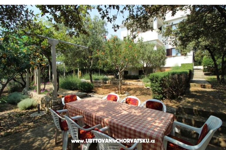 Apartmaji Salvia island Pag Mandre – foto 6