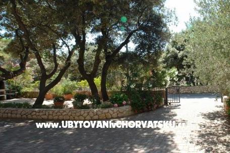 Apartmaji Josipa – foto 4