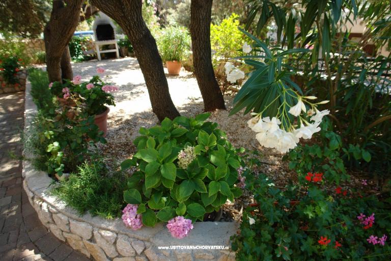 Apartmaji Josipa – foto 6