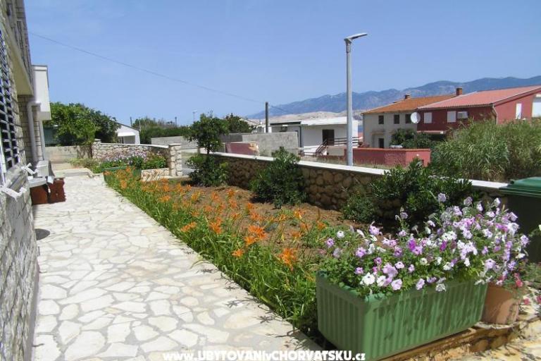Apartmaji Pavičić Marija Pag – foto 2