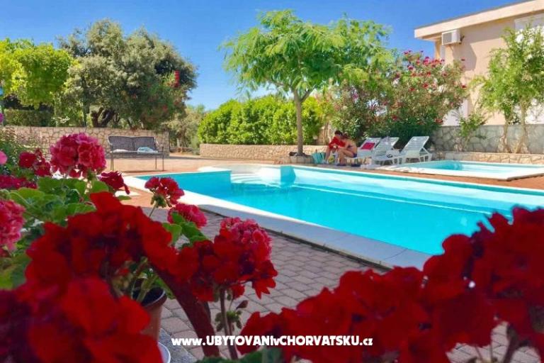 Apartmaji Villa Ana – foto 2