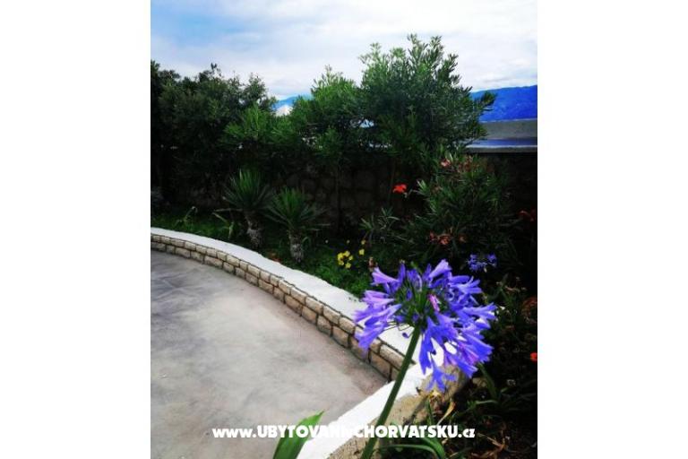 Family Apartmaji K&M – foto 15