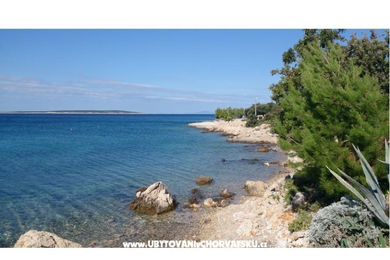Marea Apartmaji Mandre – foto 13