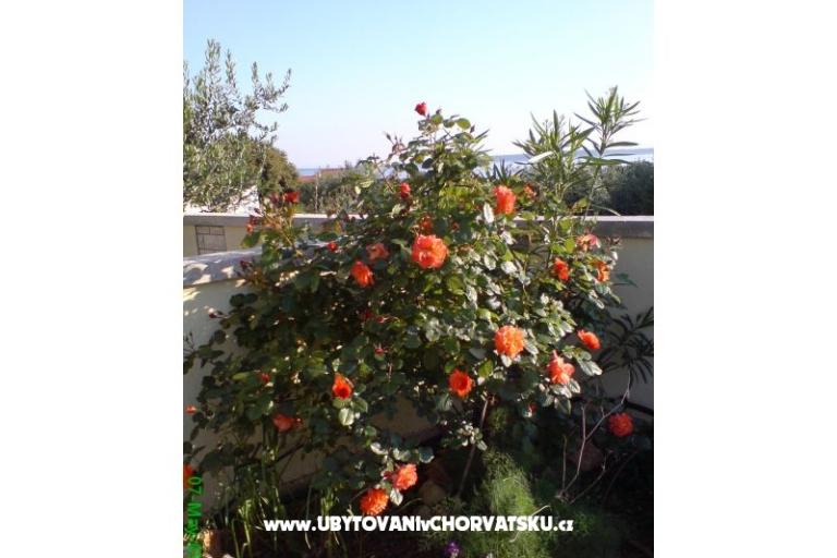 Marea Apartmaji Mandre – foto 6