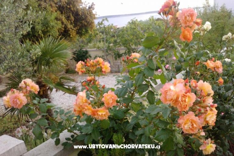 Marea Apartmaji Mandre – foto 8