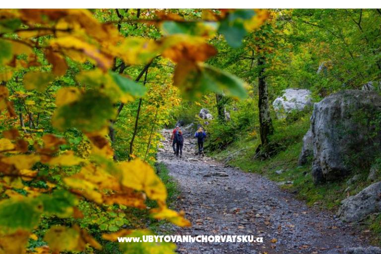 Apartma Agava Seline – foto 11