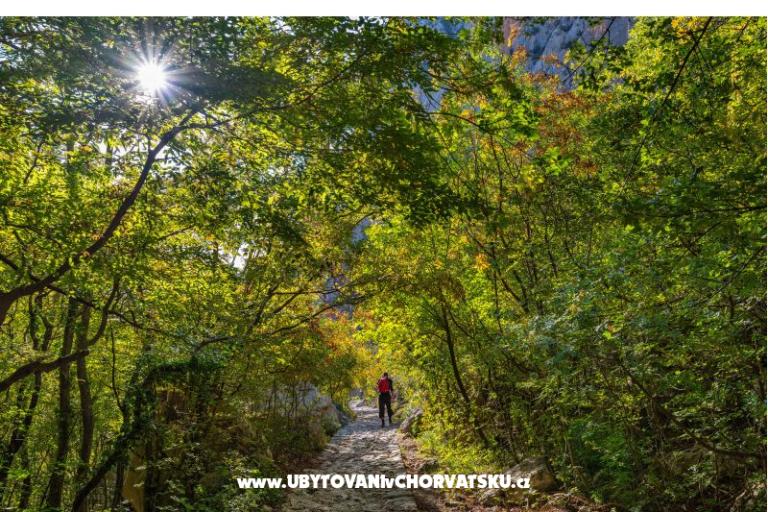 Apartma Agava Seline – foto 12