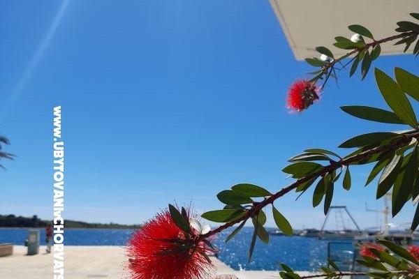 Apartmaji Tomic – foto 10