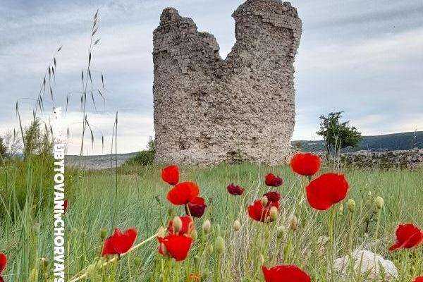 Apartmaji Tomic – foto 11