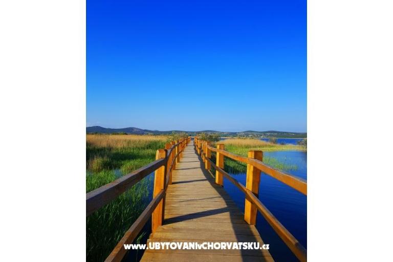 Apartmaji Tomic – foto 14