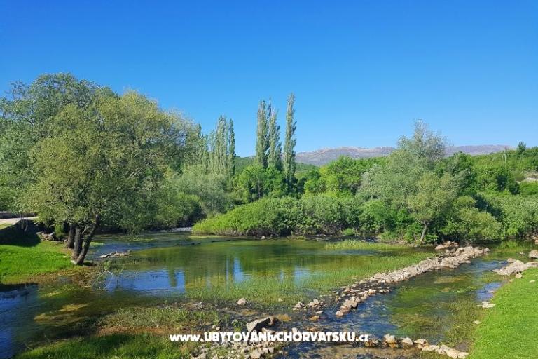 Apartmaji Tomic – foto 3