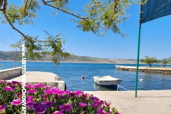 Apartmaji Tomic – foto 8