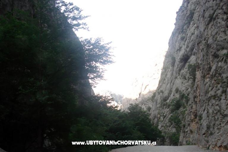 Apartmaji vesela – foto 5