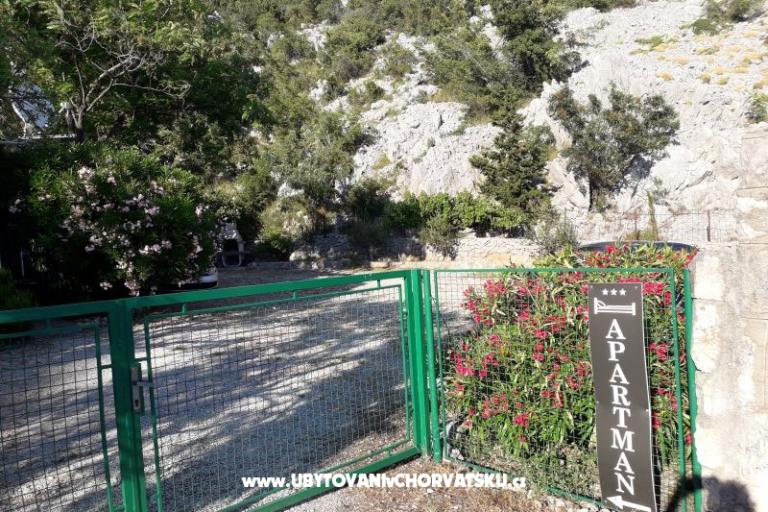Počitniški dom Beli – foto 15