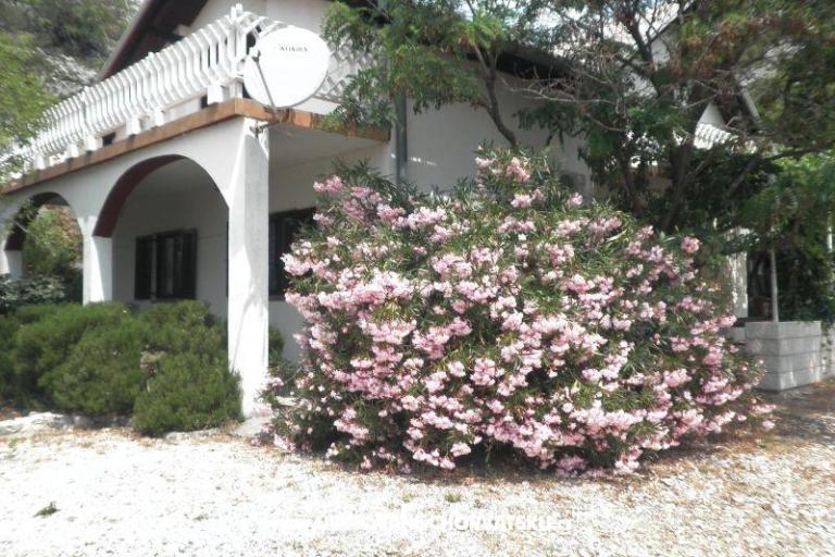 Počitniški dom Beli – foto 2