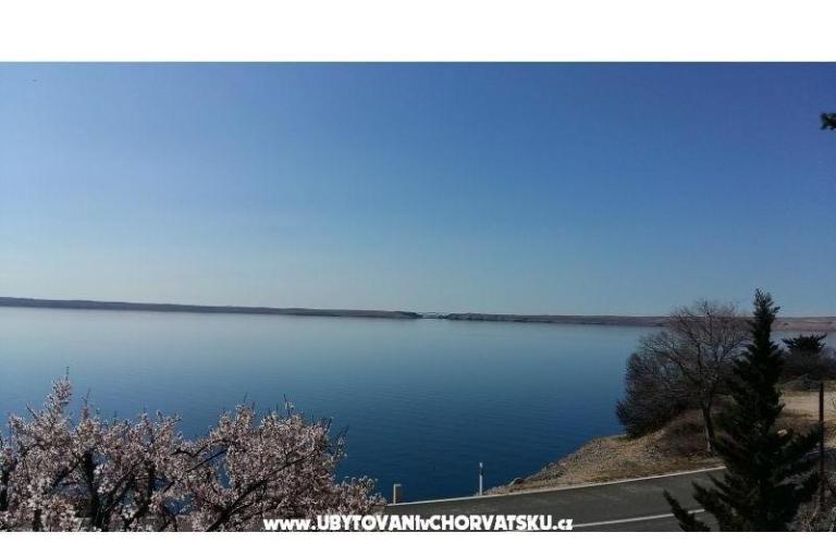 Počitniški dom Beli – foto 8