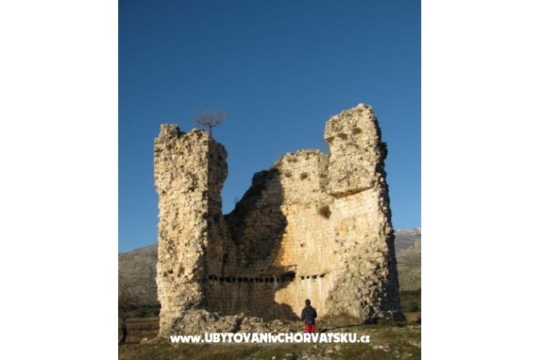 Apartmaji Paklina – foto 16