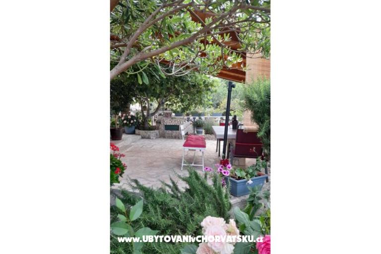 Aurora Apartmaji – foto 20