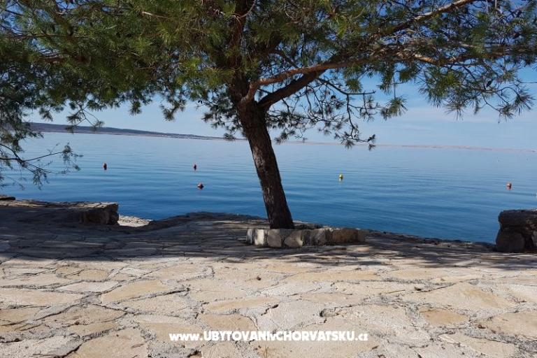 Apartmaji Bosi i Goli – foto 15