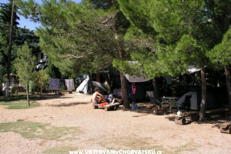 Kamp Marko – foto 3