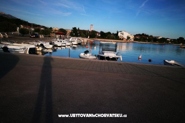 Apartmaji koko-seline – foto 21