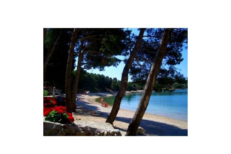 Apartma Mediteran – foto 38