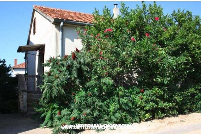 Apartma Marko – foto 4