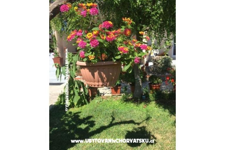 Apartmaji Jasa  – foto 15