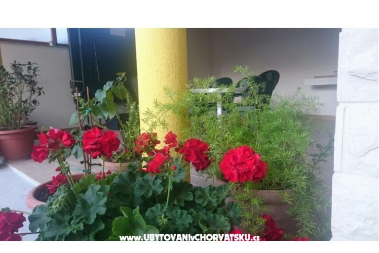 Apartmaji Lucija – foto 6