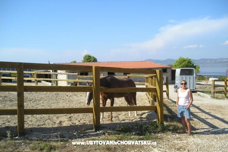 Apartmaji Mario – foto 18