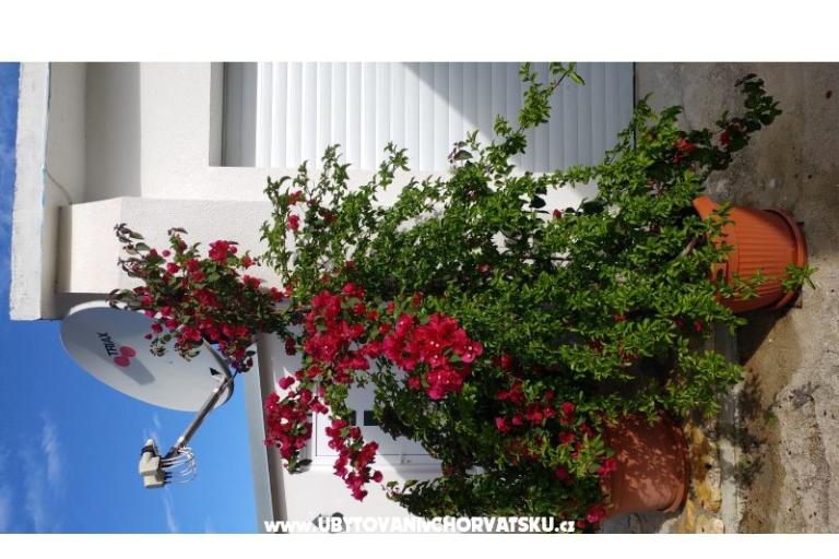 Apartmaji Pipi – foto 12