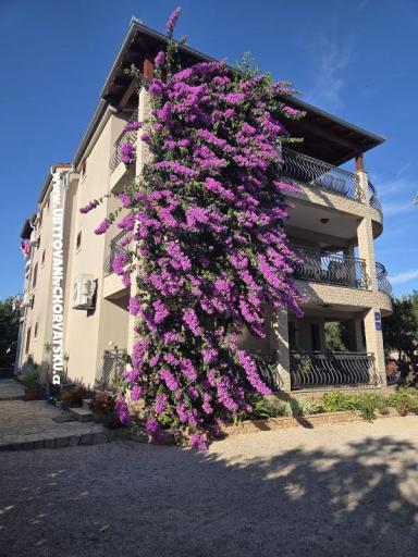 Apartmaji Silvija – foto 19