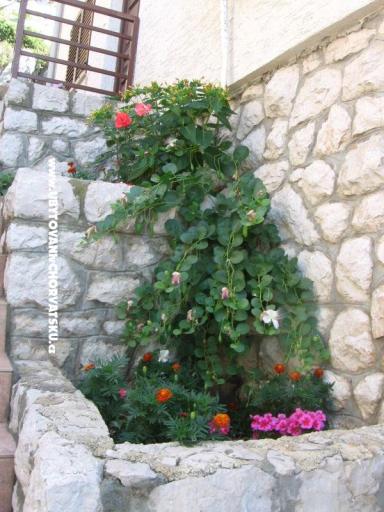 Apartmaji Šimun – foto 10
