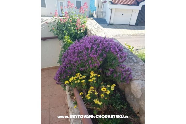 Apartmaji Šimun – foto 11