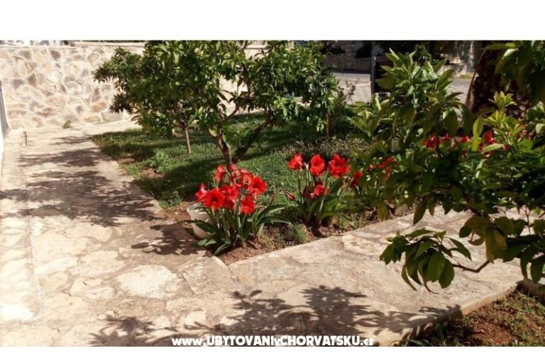 Apartmaji Leo – foto 38