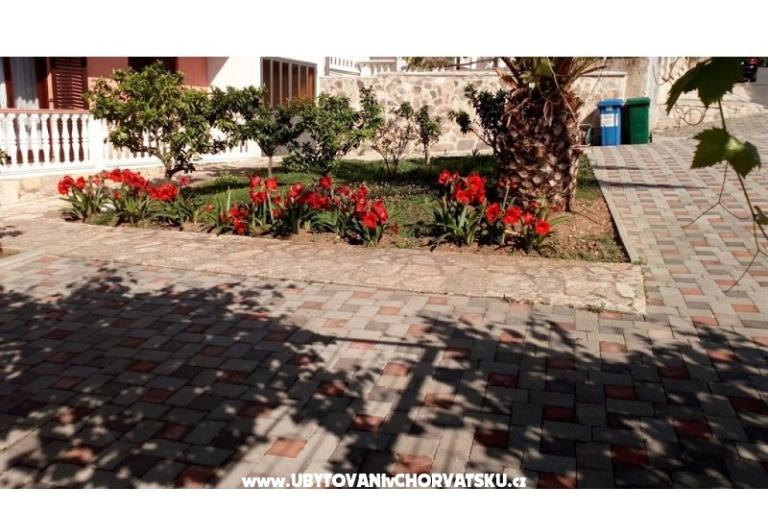 Apartmaji Leo – foto 4