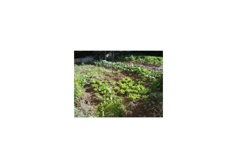 Apartmaji Rosan Pakostane – foto 15
