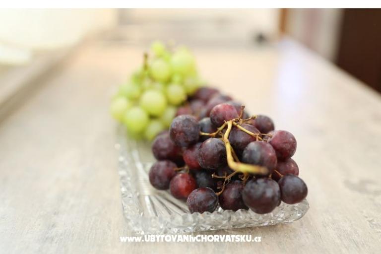 Pakoštane Apartmaji Ana – foto 19