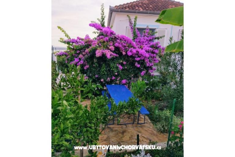 Apartmaji Marija-Tkon – foto 10